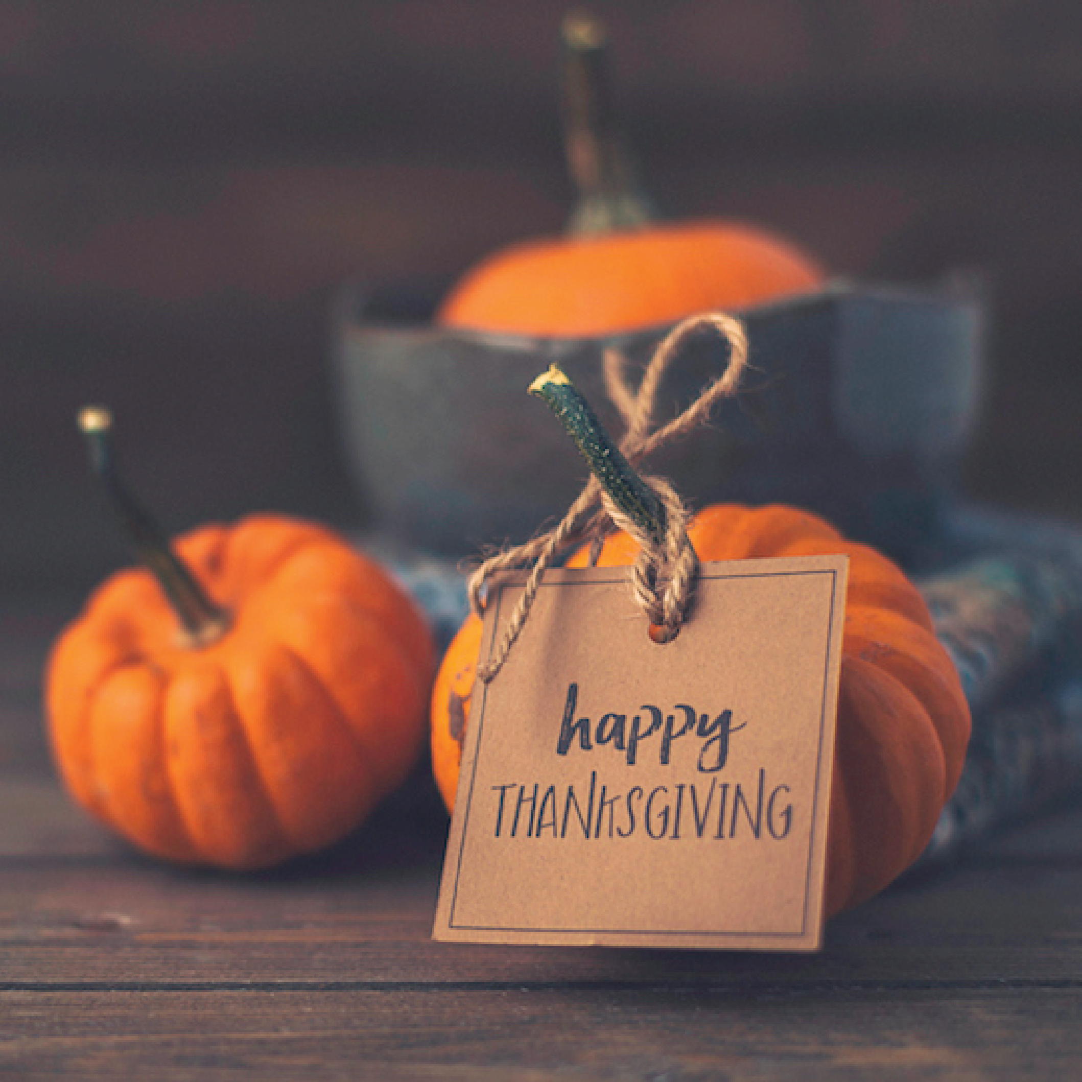 thanksgiving-blog-01